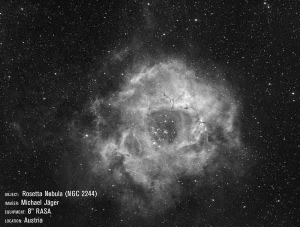 Celestron RASA 8" Image of the Rosette Nebula.